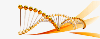 כרומטוגרפיה